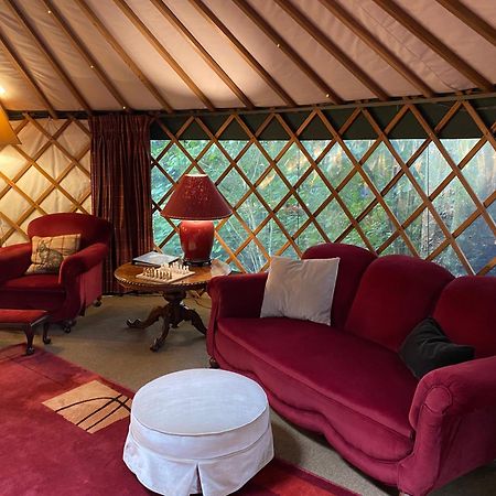 Hotel Nikau Sanctuary à Raglan Extérieur photo